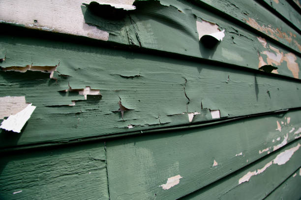 Best Storm Damage Siding Repair  in Monticello, IN