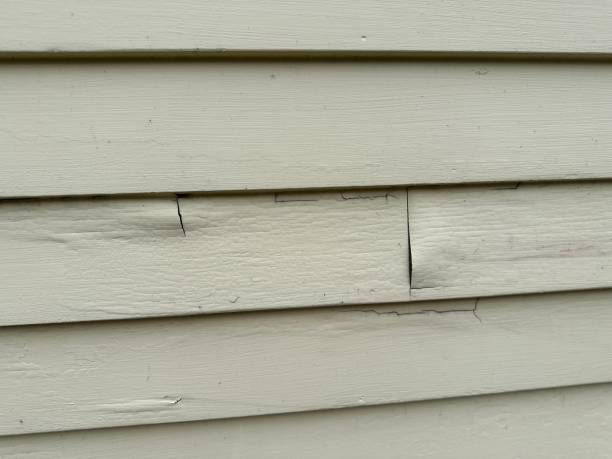 Best Engineered Wood Siding  in Monticello, IN